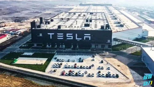 降低成本這招我會(huì) 豐田開發(fā)新車身技術(shù)，直指行業(yè)成本命門